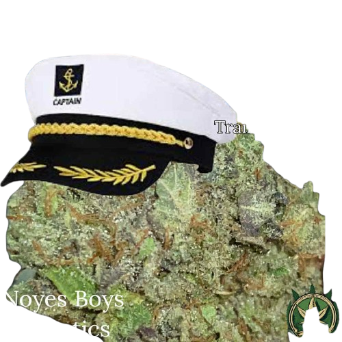 Captain Noyes 2